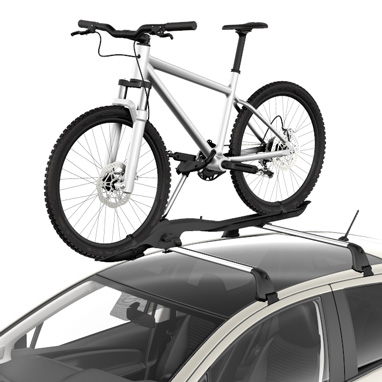 accessory image